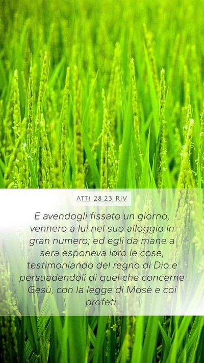 Atti 28:23 RIV Bible Verse Image