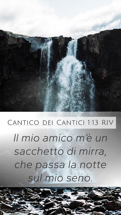 Cantico dei Cantici 1:13 RIV Bible Verse Image