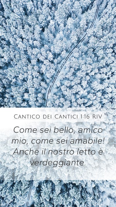 Cantico dei Cantici 1:16 RIV Bible Verse Image