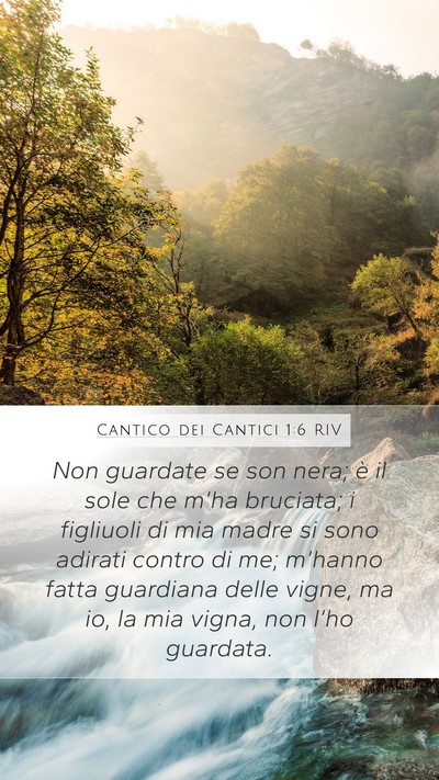 Cantico dei Cantici 1:6 RIV Bible Verse Image
