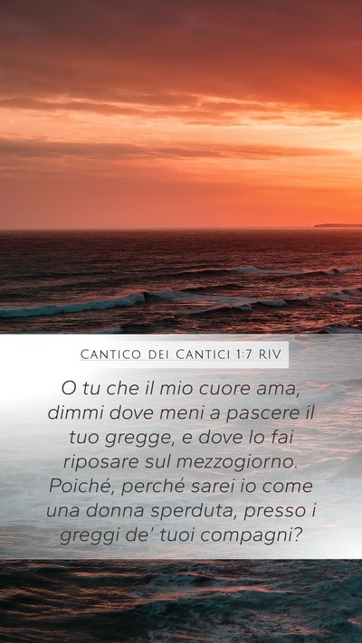 Cantico dei Cantici 1:7 RIV Bible Verse Image