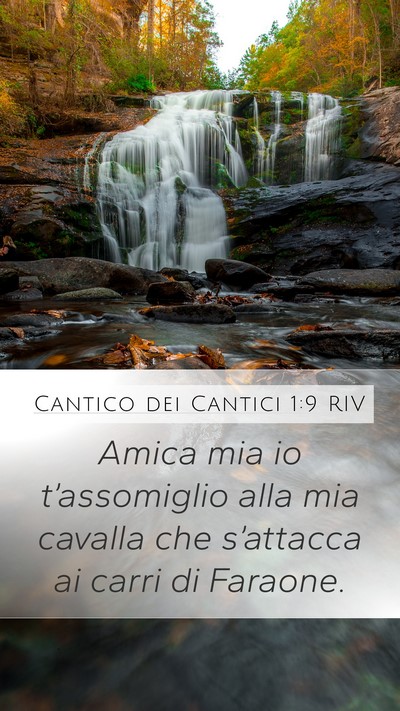 Cantico dei Cantici 1:9 RIV Bible Verse Image