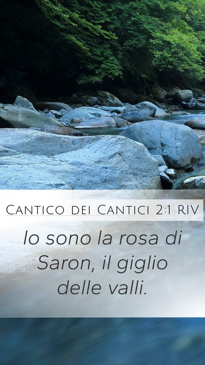 Cantico dei Cantici 2:1 RIV Bible Verse Image