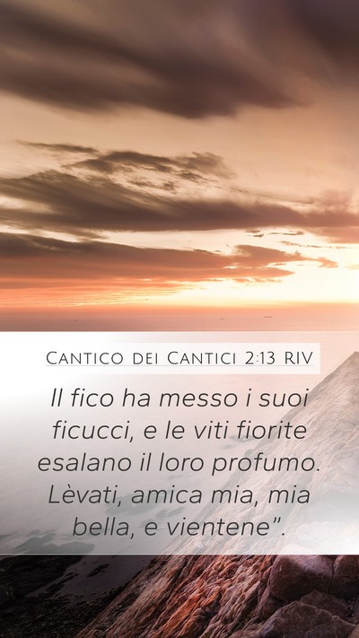 Cantico dei Cantici 2:13 RIV Bible Verse Image