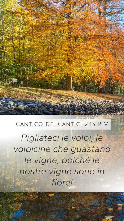 Cantico dei Cantici 2:15 RIV Bible Verse Image