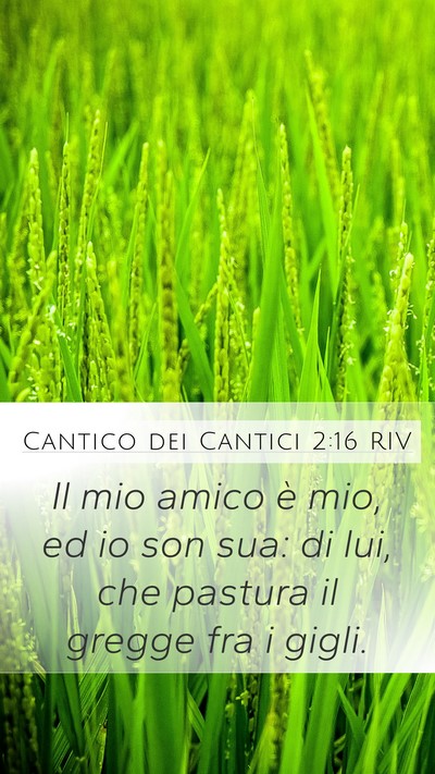 Cantico dei Cantici 2:16 RIV Bible Verse Image