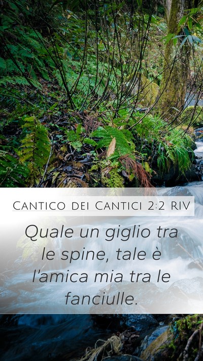 Cantico dei Cantici 2:2 RIV Bible Verse Image