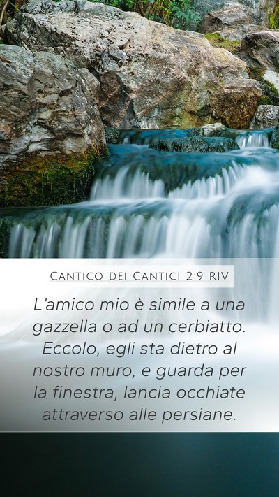 Cantico dei Cantici 2:9 RIV Bible Verse Image