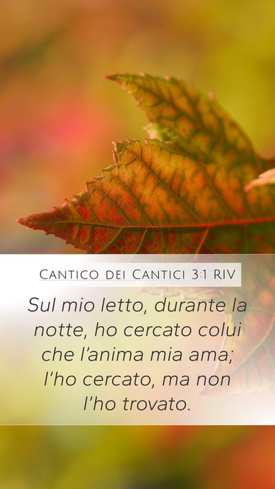 Cantico dei Cantici 3:1 RIV Bible Verse Image