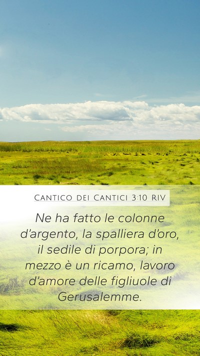 Cantico dei Cantici 3:10 RIV Bible Verse Image