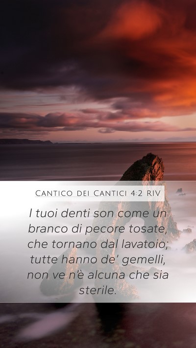 Cantico dei Cantici 4:2 RIV Mobile Phone Wallpaper - I tuoi denti son come un branco di pecore tosate, - Mobile Bible Verse Wallpaper