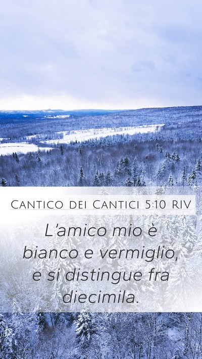 Cantico dei Cantici 5:10 RIV Mobile Phone Wallpaper - L’amico mio è bianco e vermiglio, e si - Mobile Bible Verse Wallpaper