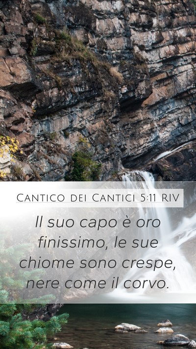Cantico dei Cantici 5:11 RIV Mobile Phone Wallpaper - Il suo capo è oro finissimo, le sue chiome sono - Mobile Bible Verse Wallpaper