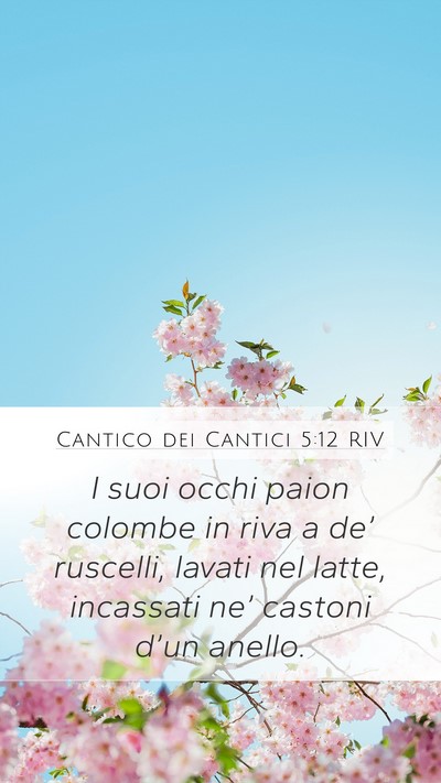 Cantico dei Cantici 5:12 RIV Bible Verse Image