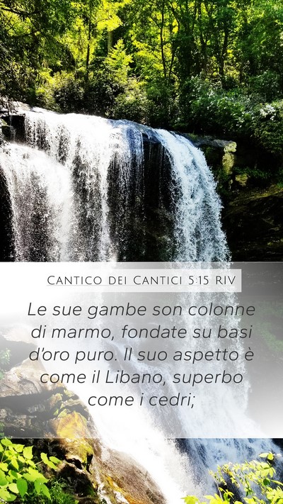 Cantico dei Cantici 5:15 RIV Bible Verse Image