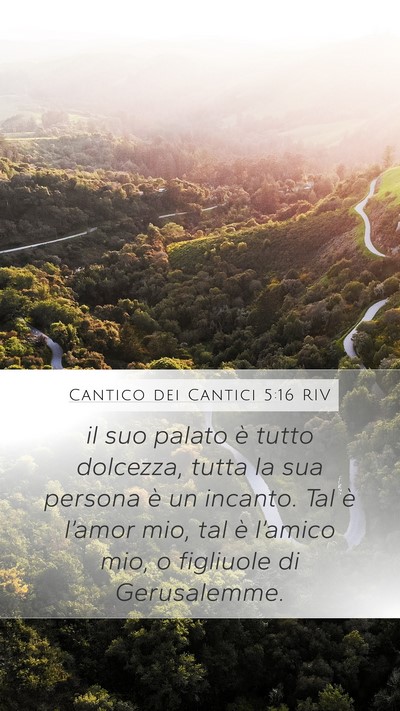 Cantico dei Cantici 5:16 RIV Bible Verse Image