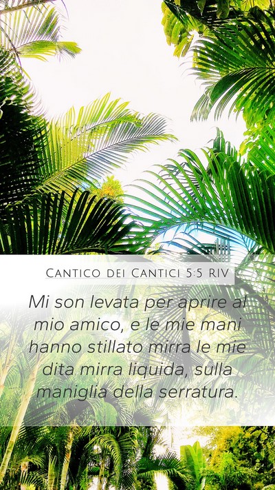 Cantico dei Cantici 5:5 RIV Bible Verse Image
