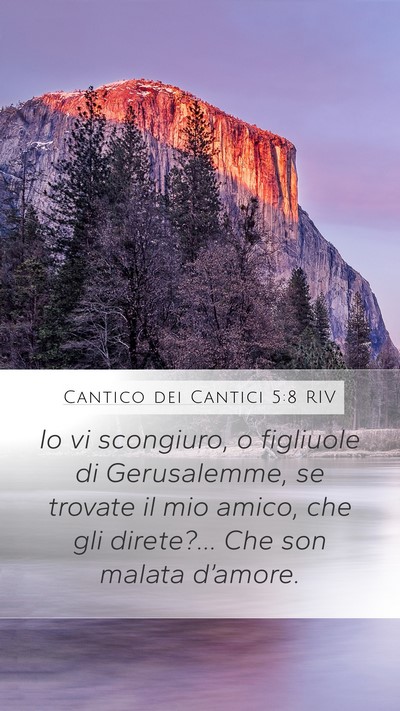 Cantico dei Cantici 5:8 RIV Mobile Phone Wallpaper - Io vi scongiuro, o figliuole di Gerusalemme, se - Mobile Bible Verse Wallpaper