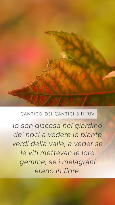 Cantico dei Cantici 6:11 RIV Bible Verse Image