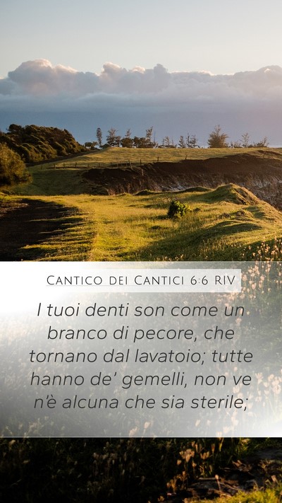 Cantico dei Cantici 6:6 RIV Bible Verse Image