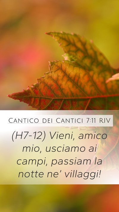Cantico dei Cantici 7:11 RIV Mobile Phone Wallpaper - (H7-12) Vieni, amico mio, usciamo ai campi, - Mobile Bible Verse Wallpaper