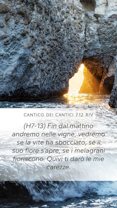Cantico dei Cantici 7:12 RIV Bible Verse Image