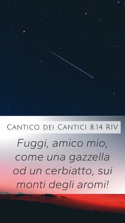 Cantico dei Cantici 8:14 RIV Bible Verse Image