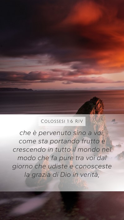 Colossesi 1:6 RIV Bible Verse Image