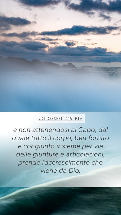 Colossesi 2:19 RIV Bible Verse Image
