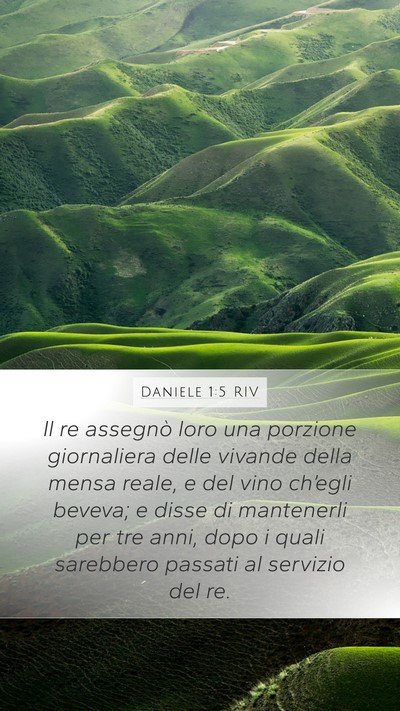 Daniele 1:5 RIV Bible Verse Image