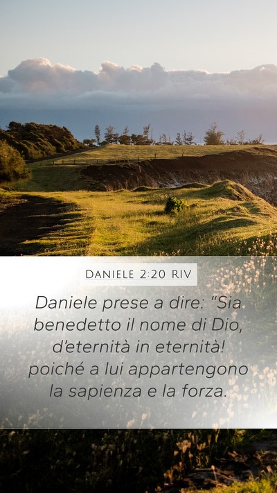 Daniele 2:20 RIV Bible Verse Image