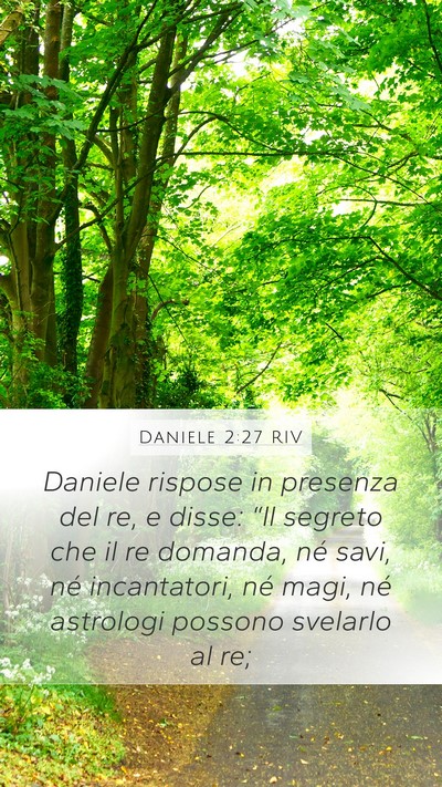 Daniele 2:27 RIV Bible Verse Image