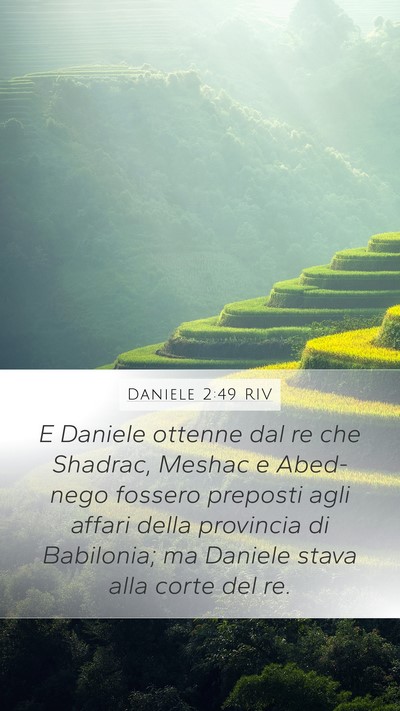 Daniele 2:49 RIV Bible Verse Image