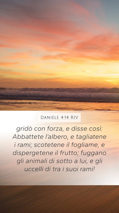 Daniele 4:14 RIV Bible Verse Image