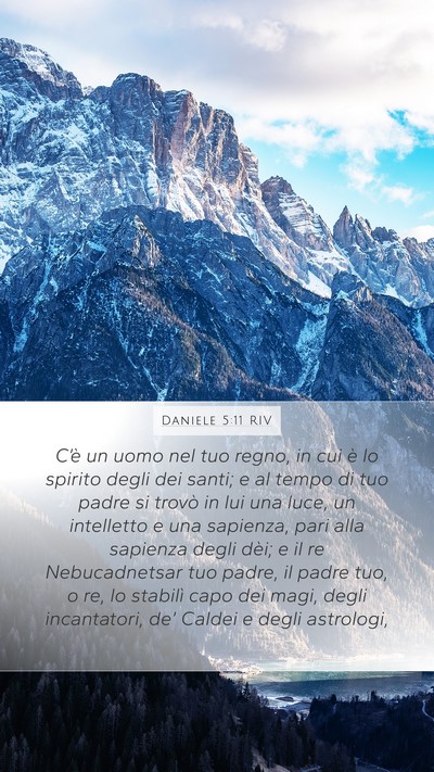 Daniele 5:11 RIV Bible Verse Image