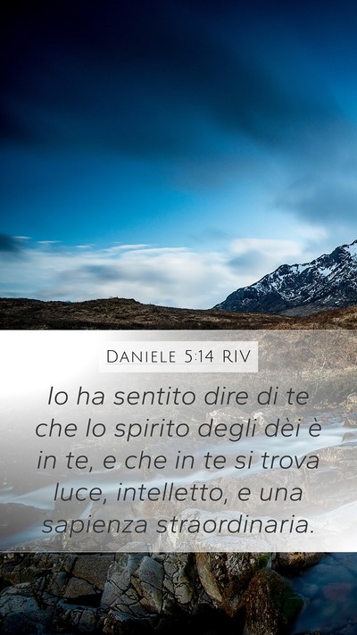 Daniele 5:14 RIV Bible Verse Image