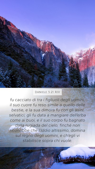 Daniele 5:21 RIV Bible Verse Image