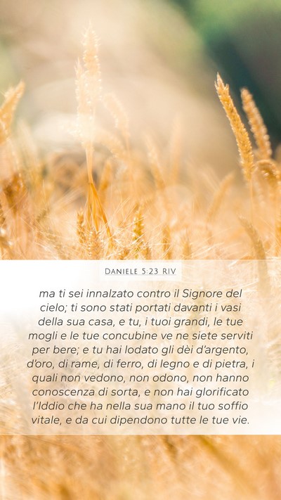 Daniele 5:23 RIV Bible Verse Image