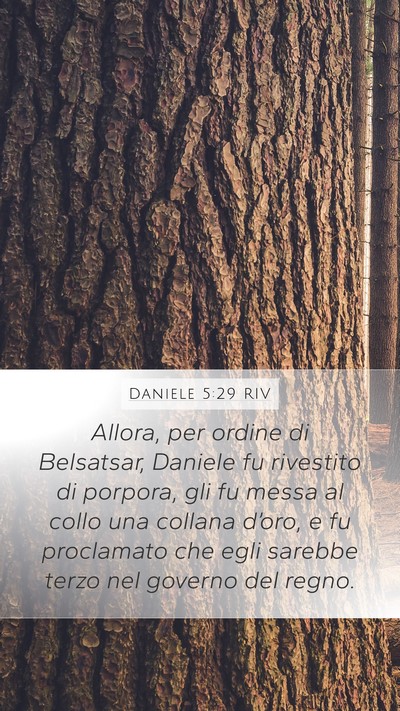 Daniele 5:29 RIV Bible Verse Image