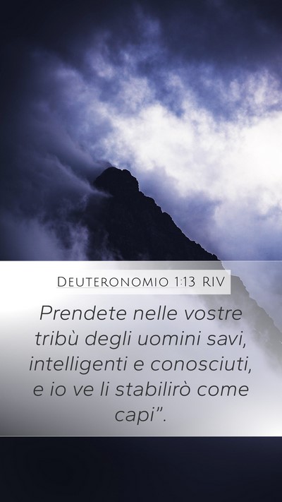 Deuteronomio 1:13 RIV Bible Verse Image