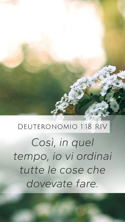 Deuteronomio 1:18 RIV Mobile Phone Wallpaper - Così, in quel tempo, io vi ordinai tutte le cose - Mobile Bible Verse Wallpaper