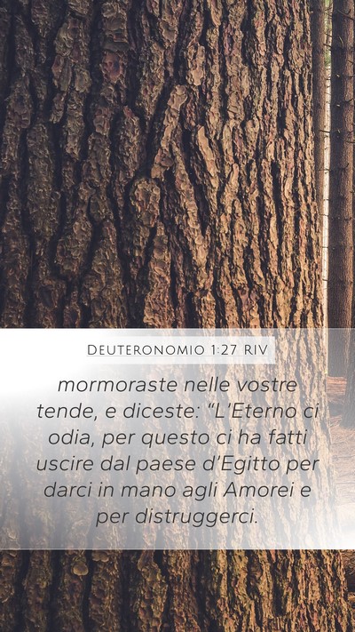 Deuteronomio 1:27 RIV Mobile Phone Wallpaper - mormoraste nelle vostre tende, e diceste: - Mobile Bible Verse Wallpaper