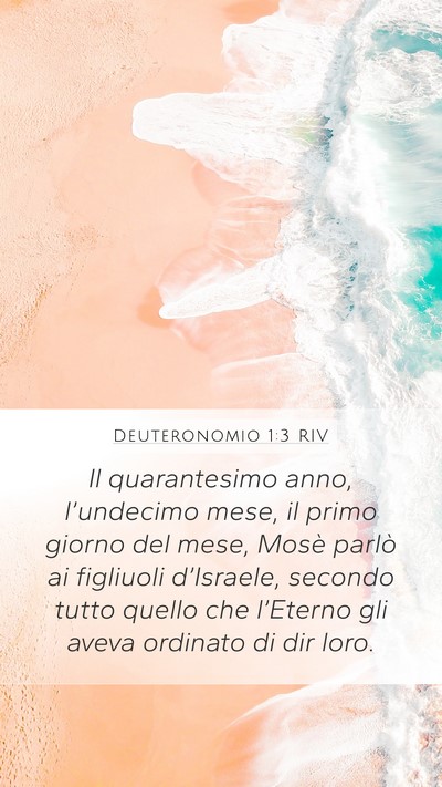 Deuteronomio 1:3 RIV Bible Verse Image