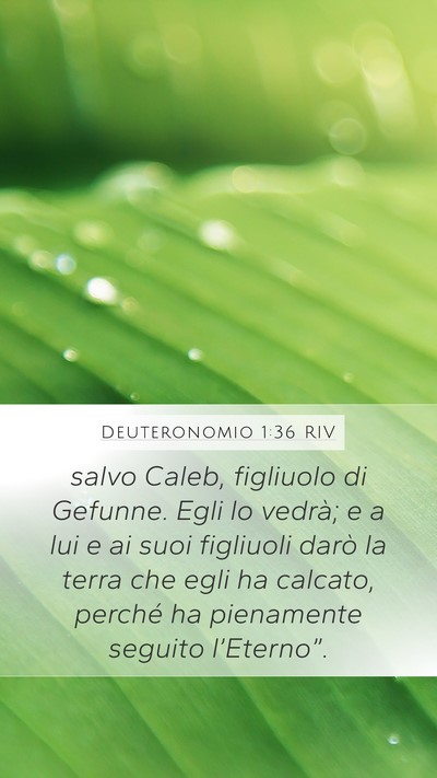 Deuteronomio 1:36 RIV Bible Verse Image
