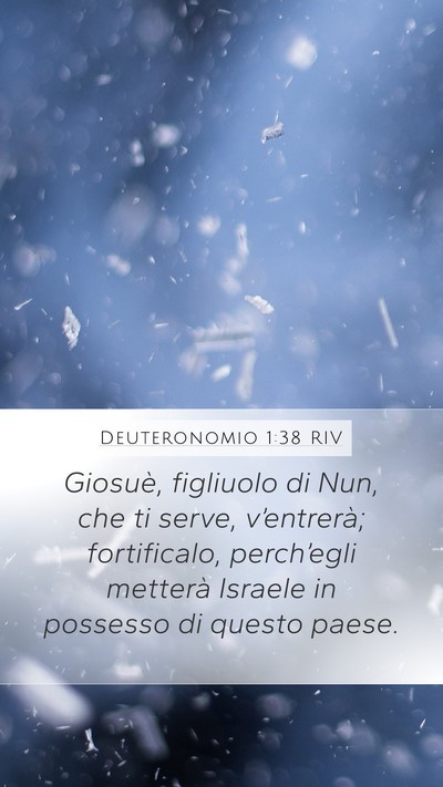 Deuteronomio 1:38 RIV Bible Verse Image