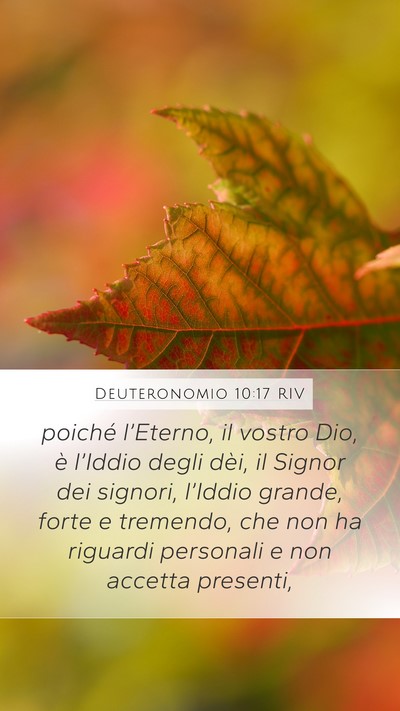 Deuteronomio 10:17 RIV Bible Verse Image