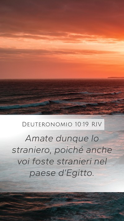 Deuteronomio 10:19 RIV Bible Verse Image