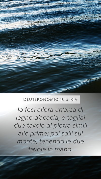 Deuteronomio 10:3 RIV Bible Verse Image