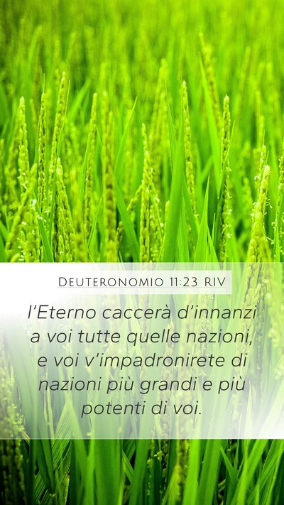 Deuteronomio 11:23 RIV Bible Verse Image