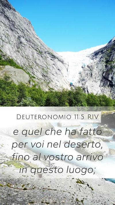 Deuteronomio 11:5 RIV Mobile Phone Wallpaper - e quel che ha fatto per voi nel deserto, fino al - Mobile Bible Verse Wallpaper